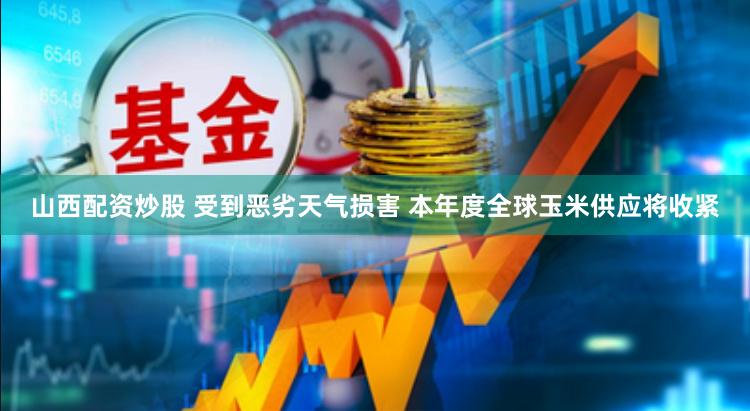 山西配资炒股 受到恶劣天气损害 本年度全球玉米供应将收紧