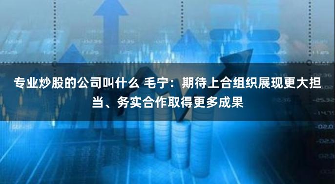 专业炒股的公司叫什么 毛宁：期待上合组织展现更大担当、务实合作取得更多成果