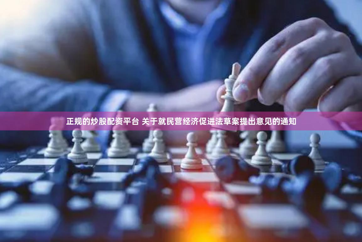 正规的炒股配资平台 关于就民营经济促进法草案提出意见的通知