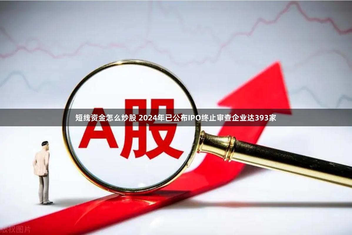 短线资金怎么炒股 2024年已公布IPO终止审查企业达393家